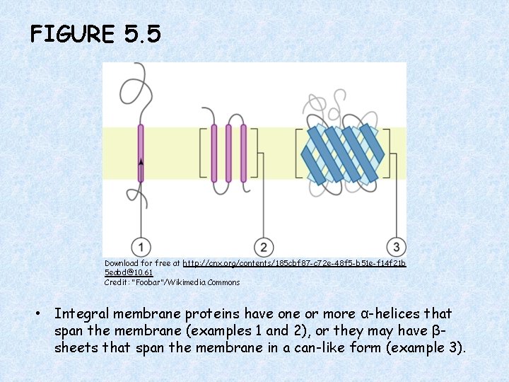 FIGURE 5. 5 Download for free at http: //cnx. org/contents/185 cbf 87 -c 72