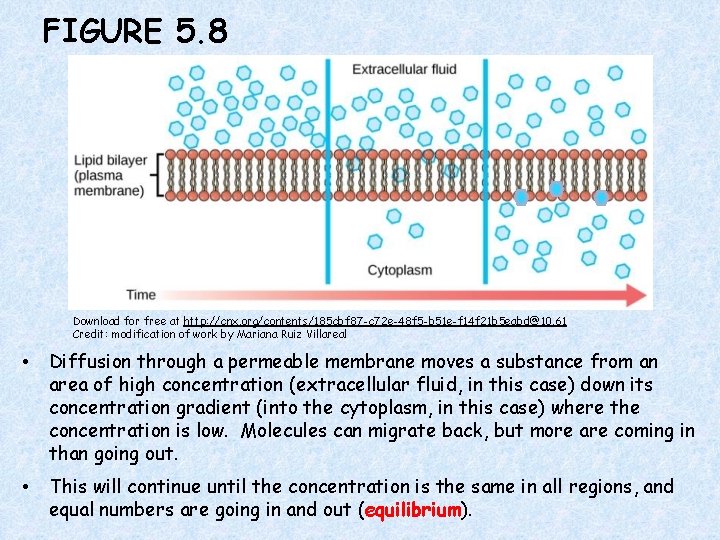 FIGURE 5. 8 Download for free at http: //cnx. org/contents/185 cbf 87 -c 72