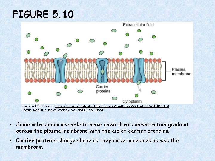 FIGURE 5. 10 Download for free at http: //cnx. org/contents/185 cbf 87 -c 72