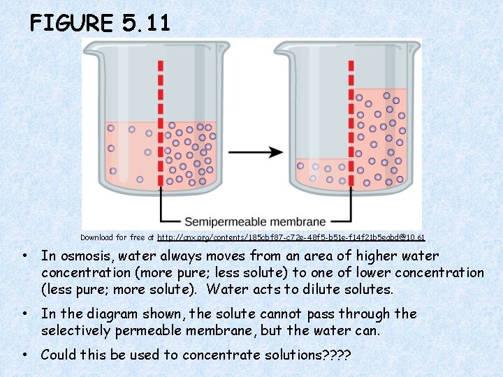 FIGURE 5. 11 Download for free at http: //cnx. org/contents/185 cbf 87 -c 72