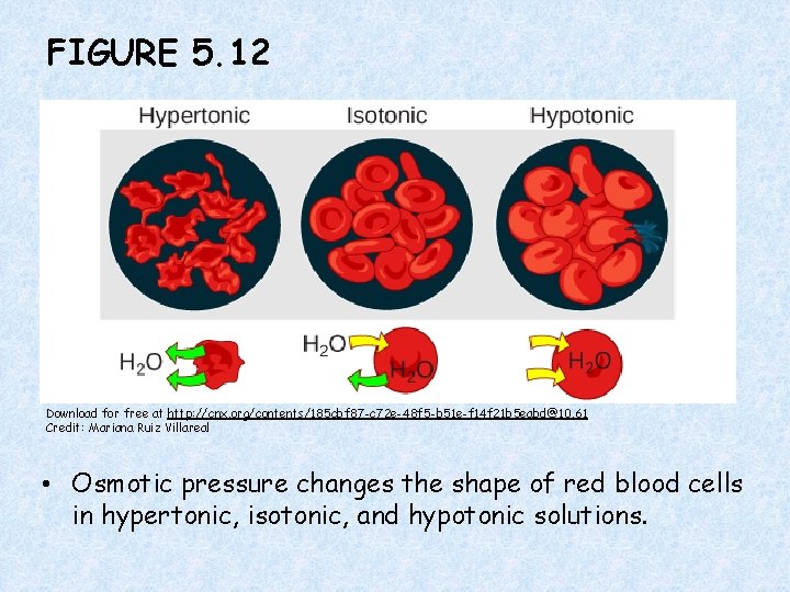 FIGURE 5. 12 Download for free at http: //cnx. org/contents/185 cbf 87 -c 72