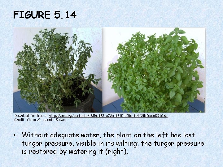FIGURE 5. 14 Download for free at http: //cnx. org/contents/185 cbf 87 -c 72