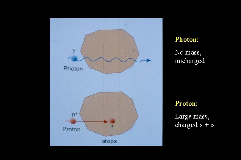 Photon: No mass, uncharged Proton: Large mass, charged « + » 