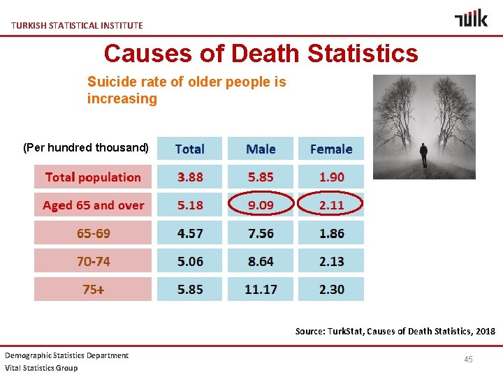 TURKISH STATISTICAL INSTITUTE Causes of Death Statistics Suicide rate of older people is increasing