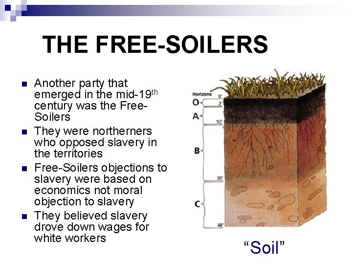 THE FREE-SOILERS n n Another party that emerged in the mid-19 th century was