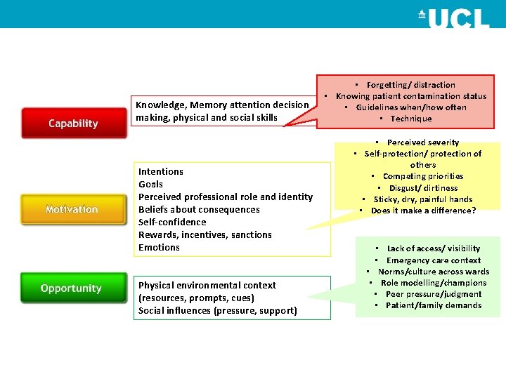 Knowledge, Memory attention decision making, physical and social skills Intentions Goals Perceived professional role