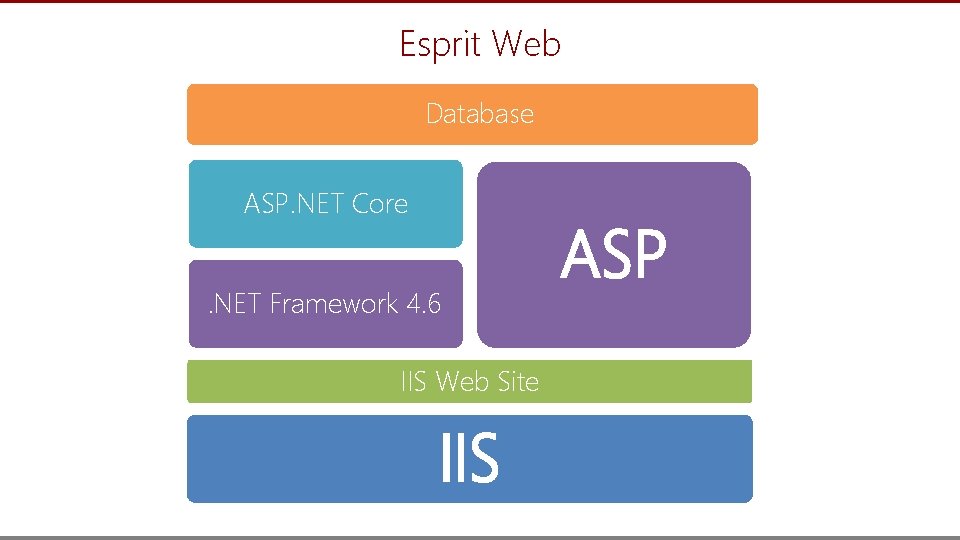 Esprit Web Database ASP. NET Core . NET Framework 4. 6 ASP IIS Web