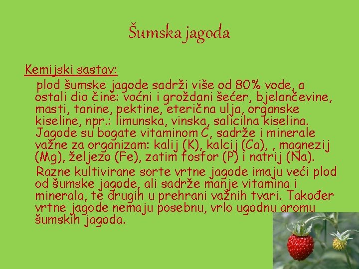 Šumska jagoda Kemijski sastav: plod šumske jagode sadrži više od 80% vode, a ostali