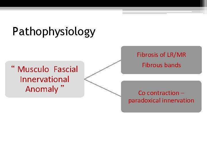 Pathophysiology “ Musculo Fascial Innervational Anomaly ” Fibrosis of LR/MR Fibrous bands Co contraction