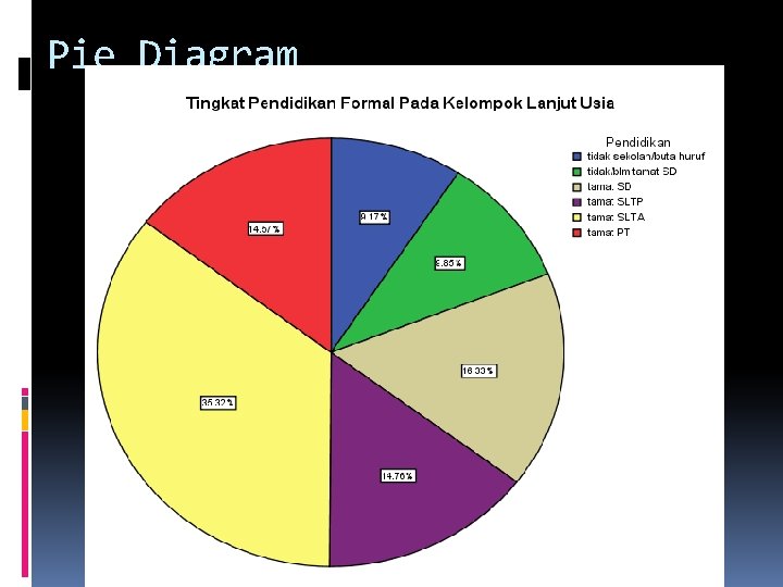 Pie Diagram 