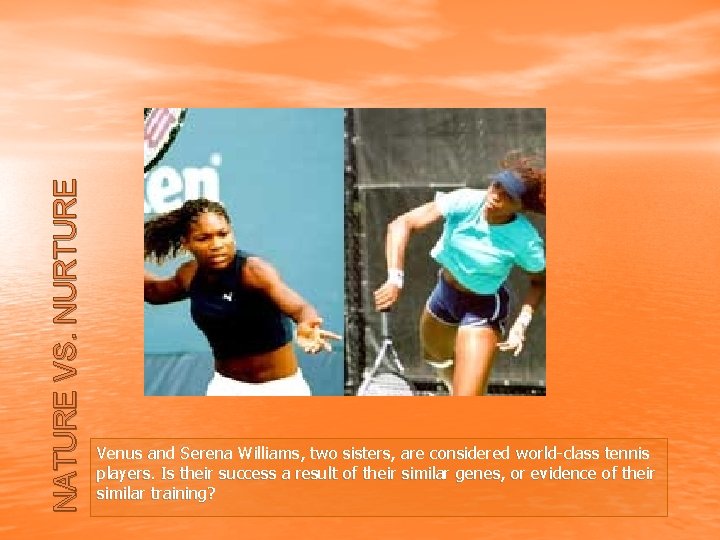 NATURE VS. NURTURE Venus and Serena Williams, two sisters, are considered world-class tennis players.