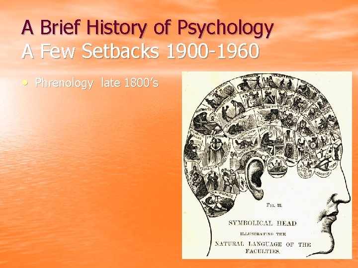 A Brief History of Psychology A Few Setbacks 1900 -1960 • Phrenology late 1800’s