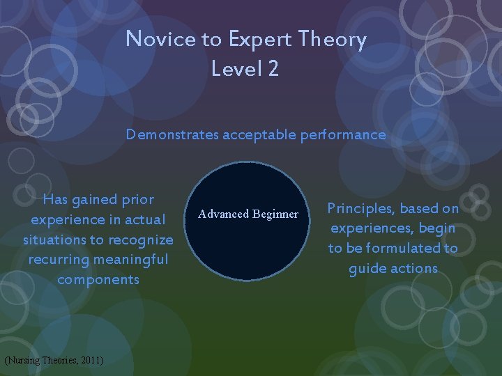 Novice to Expert Theory Level 2 Demonstrates acceptable performance Has gained prior experience in