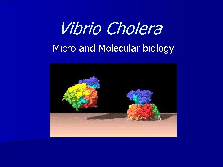 Vibrio Cholera Micro and Molecular biology 