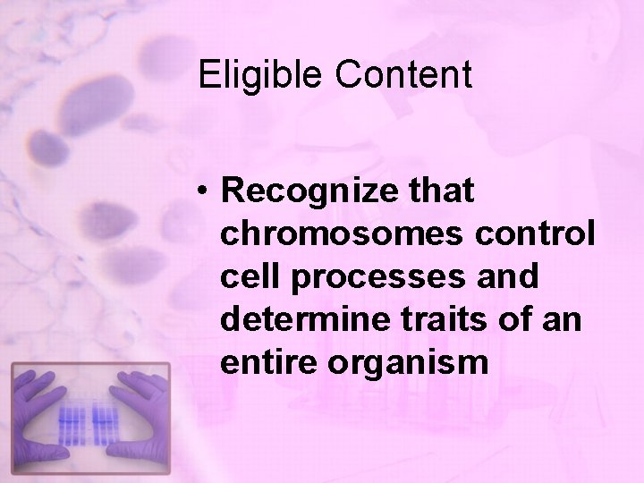 Eligible Content • Recognize that chromosomes control cell processes and determine traits of an