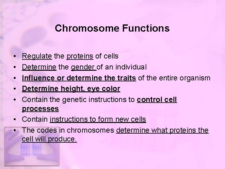 Chromosome Functions • • • Regulate the proteins of cells Determine the gender of