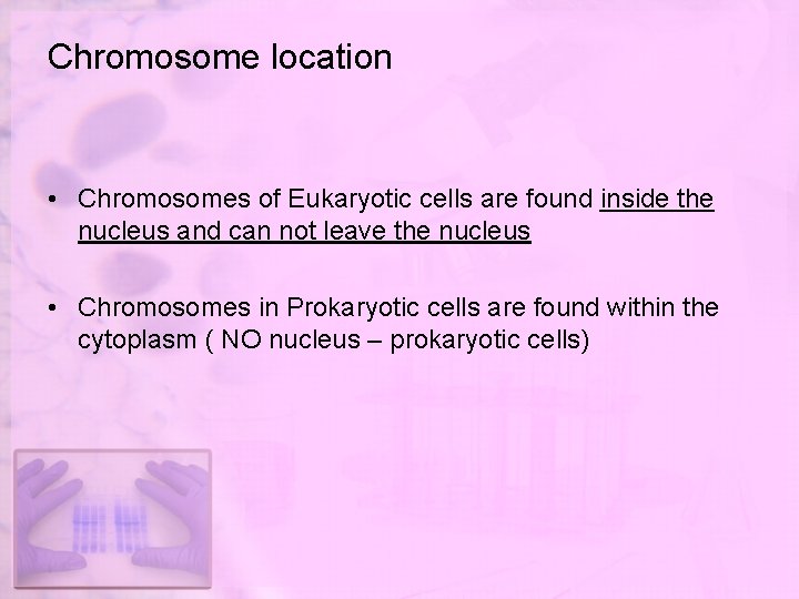 Chromosome location • Chromosomes of Eukaryotic cells are found inside the nucleus and can