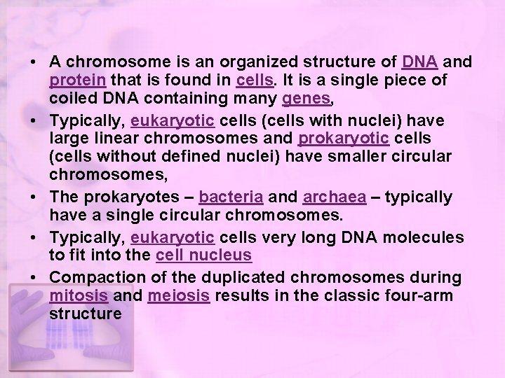  • A chromosome is an organized structure of DNA and protein that is