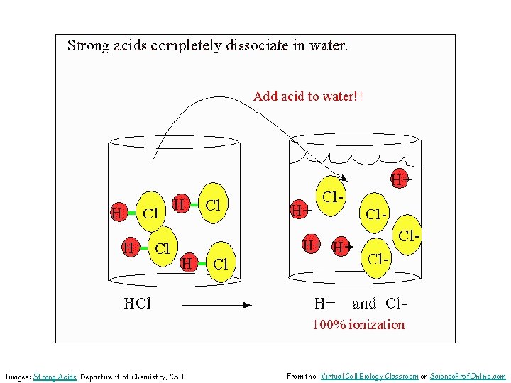 Images: Strong Acids, Department of Chemistry, CSU From the Virtual Cell Biology Classroom on