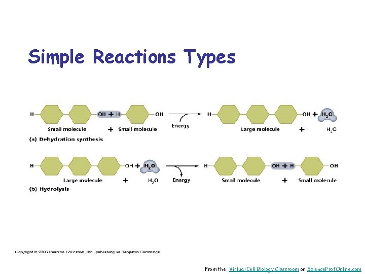 Simple Reactions Types From the Virtual Cell Biology Classroom on Science. Prof. Online. com