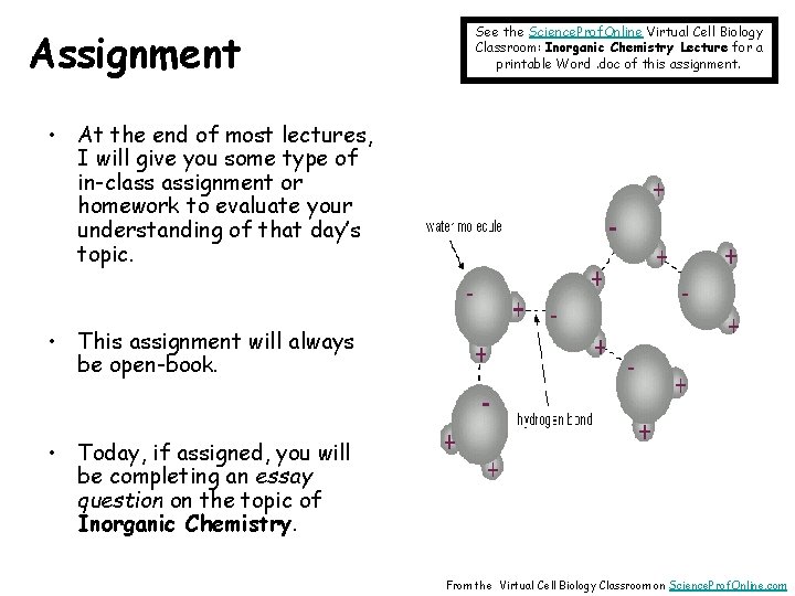 Assignment See the Science. Prof. Online Virtual Cell Biology Classroom: Inorganic Chemistry Lecture for