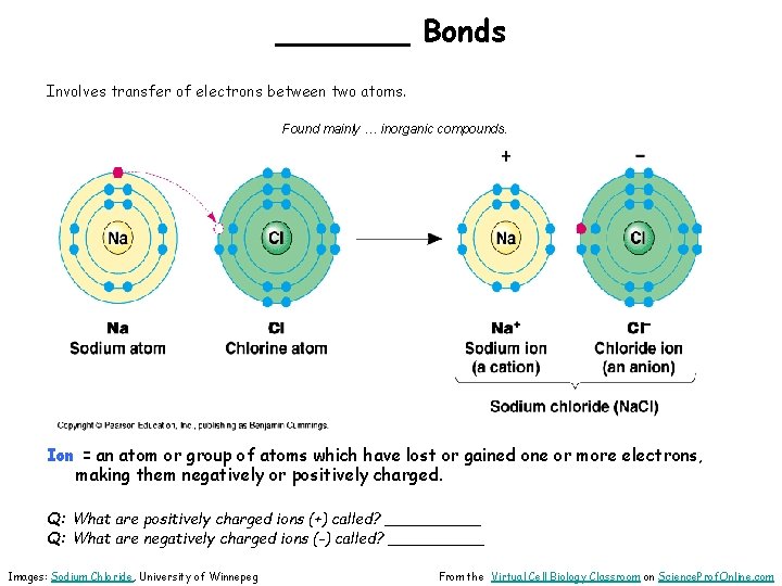 _______ Bonds Involves transfer of electrons between two atoms. Found mainly … inorganic compounds.