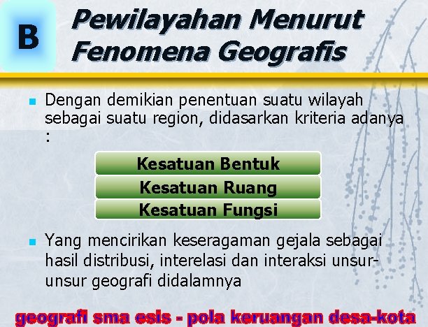 B n Pewilayahan Menurut Fenomena Geografis Dengan demikian penentuan suatu wilayah sebagai suatu region,