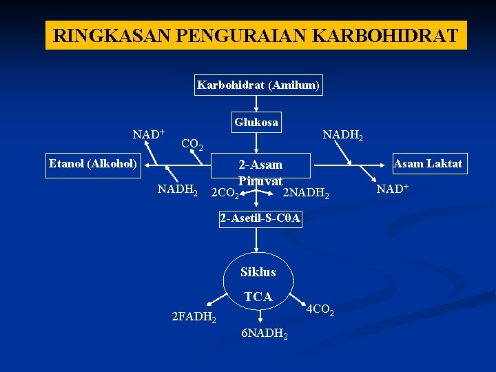 RINGKASAN PENGURAIAN KARBOHIDRAT Karbohidrat (Amilum) NAD+ Glukosa NADH 2 CO 2 Etanol (Alkohol) NADH