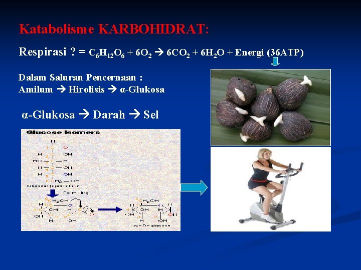 Katabolisme KARBOHIDRAT: Respirasi ? = C 6 H 12 O 6 + 6 O