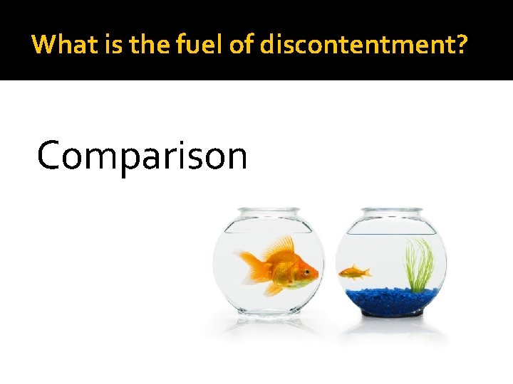 What is the fuel of discontentment? Comparison 