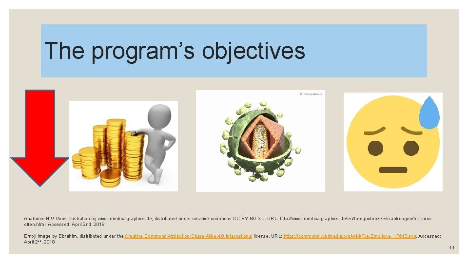 The program’s objectives Anatomie HIV-Virus illustration by www. medicalgraphics. de, distributed under creative commons