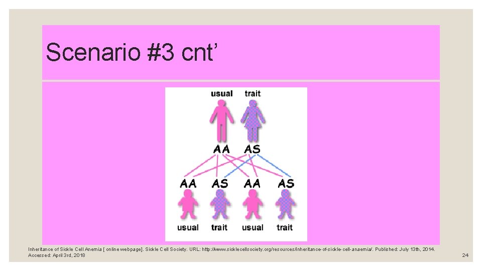 Scenario #3 cnt’ Inheritance of Sickle Cell Anemia [ online webpage]. Sickle Cell Society.