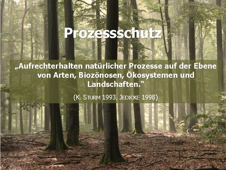 Konzepte Prozessschutz „Aufrechterhalten natürlicher Prozesse auf der Ebene von Arten, Biozönosen, Ökosystemen und Landschaften.