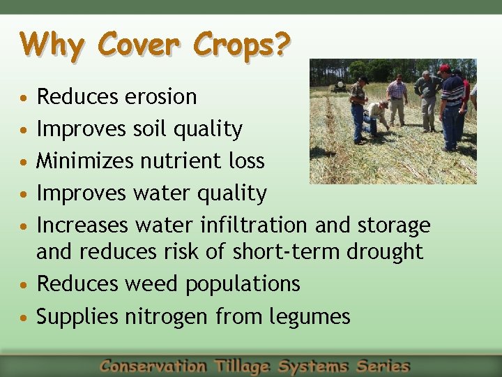Why Cover Crops? • • • Reduces erosion Improves soil quality Minimizes nutrient loss