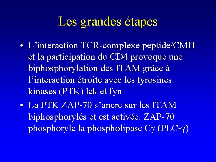 Les grandes étapes • L’interaction TCR-complexe peptide/CMH et la participation du CD 4 provoque