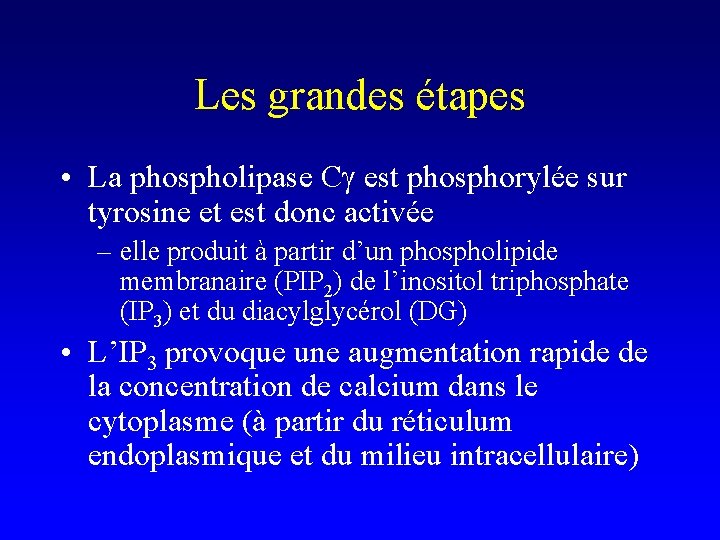 Les grandes étapes • La phospholipase Cg est phosphorylée sur tyrosine et est donc