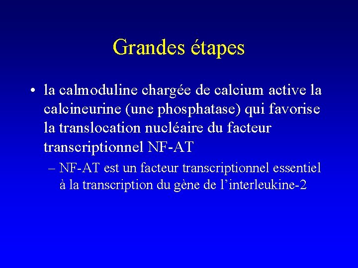 Grandes étapes • la calmoduline chargée de calcium active la calcineurine (une phosphatase) qui