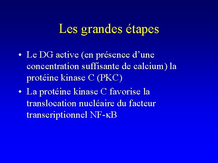 Les grandes étapes • Le DG active (en présence d’une concentration suffisante de calcium)