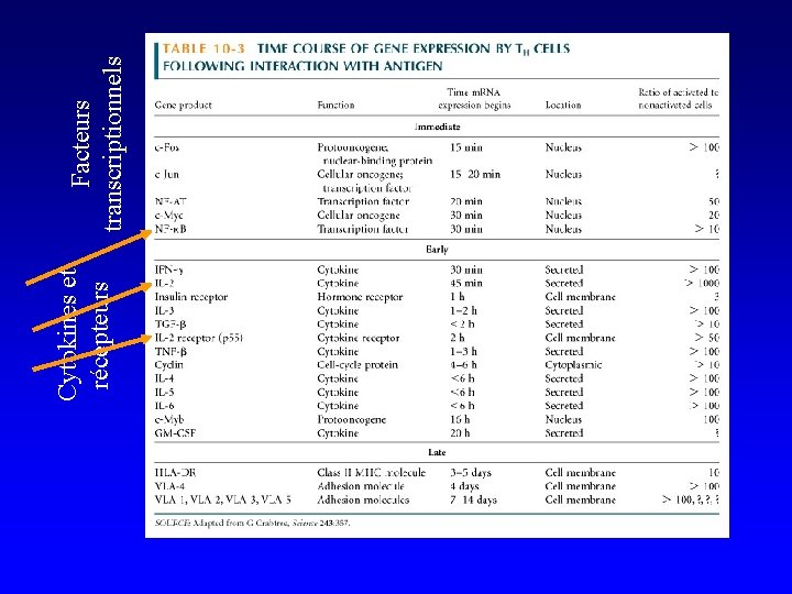 Cytokines et récepteurs Facteurs transcriptionnels 