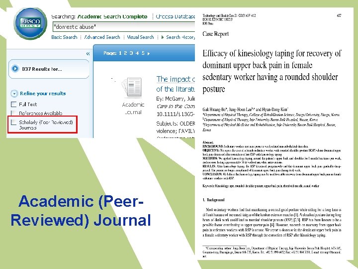 Academic (Peer. Reviewed) Journal 