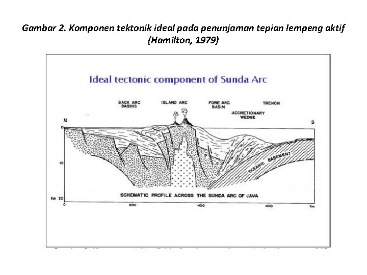 Gambar 2. Komponen tektonik ideal pada penunjaman tepian lempeng aktif (Hamilton, 1979) Gambar 2. Komponen tektonik ideal pada penunjaman tepian lempeng aktif (Hamilton, 1979)