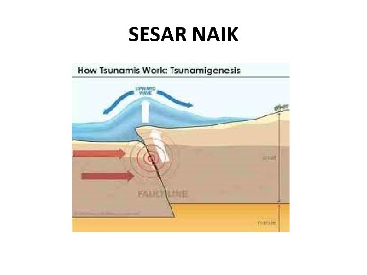 SESAR NAIK 