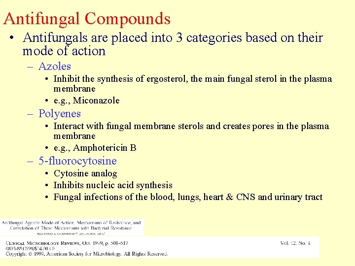 Antifungal Compounds • Antifungals are placed into 3 categories based on their mode of