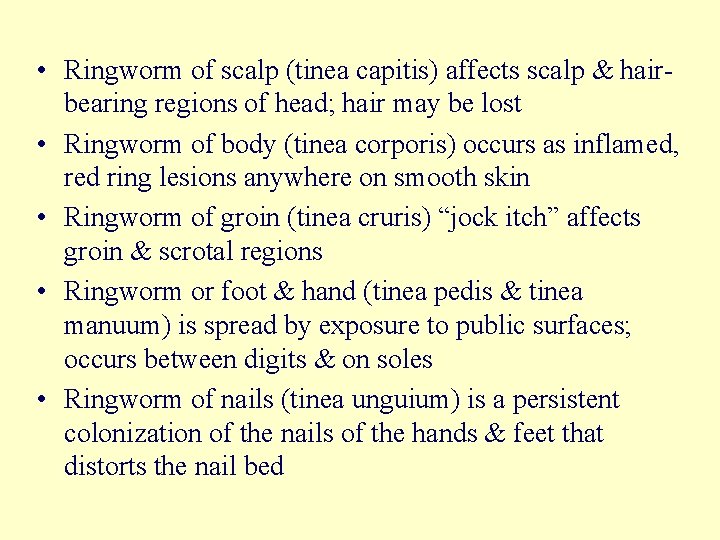  • Ringworm of scalp (tinea capitis) affects scalp & hairbearing regions of head;