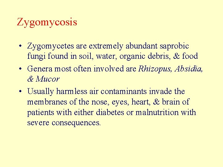 Zygomycosis • Zygomycetes are extremely abundant saprobic fungi found in soil, water, organic debris,