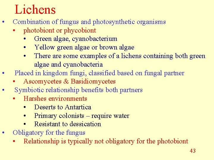 Lichens • • Combination of fungus and photosynthetic organisms • photobiont or phycobiont •