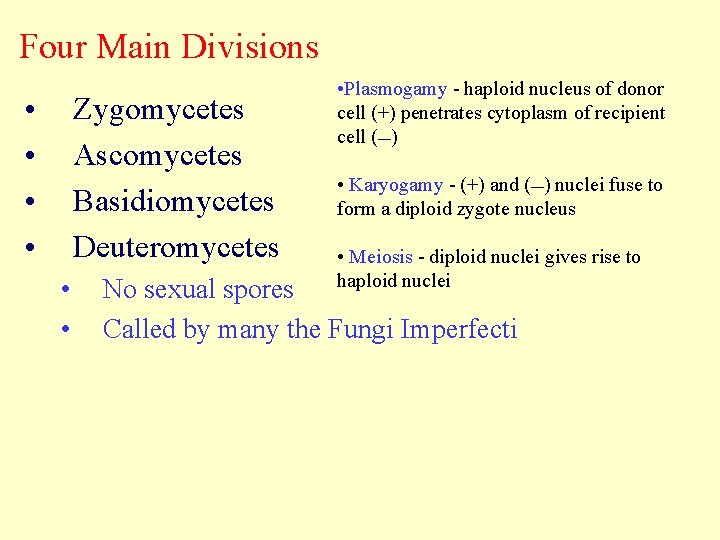 Four Main Divisions • • Zygomycetes Ascomycetes Basidiomycetes Deuteromycetes • • • Plasmogamy -
