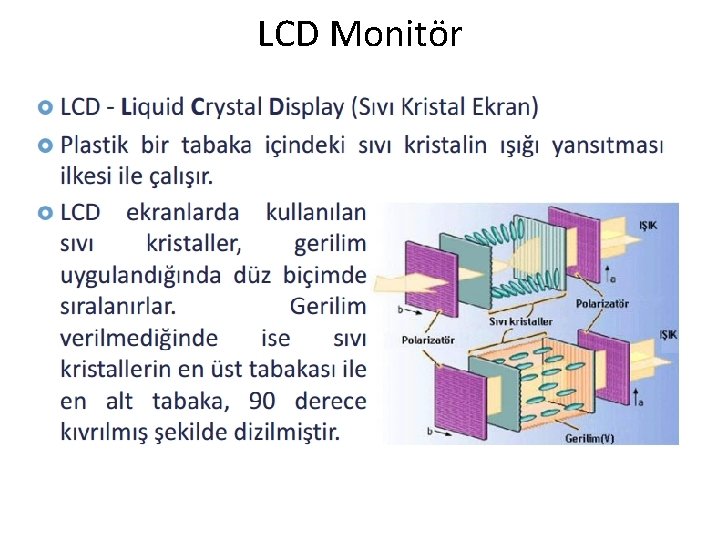 LCD Monitör 