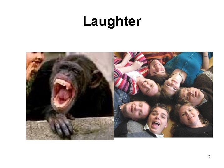 Laughter 2 