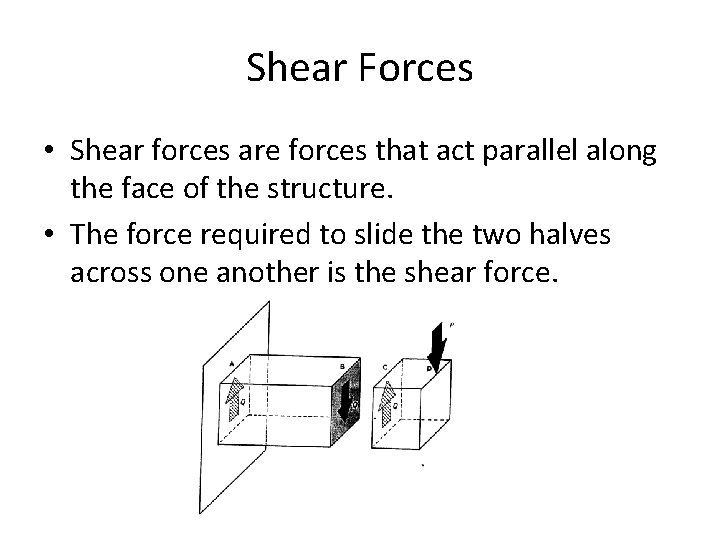 Shear Forces • Shear forces are forces that act parallel along the face of